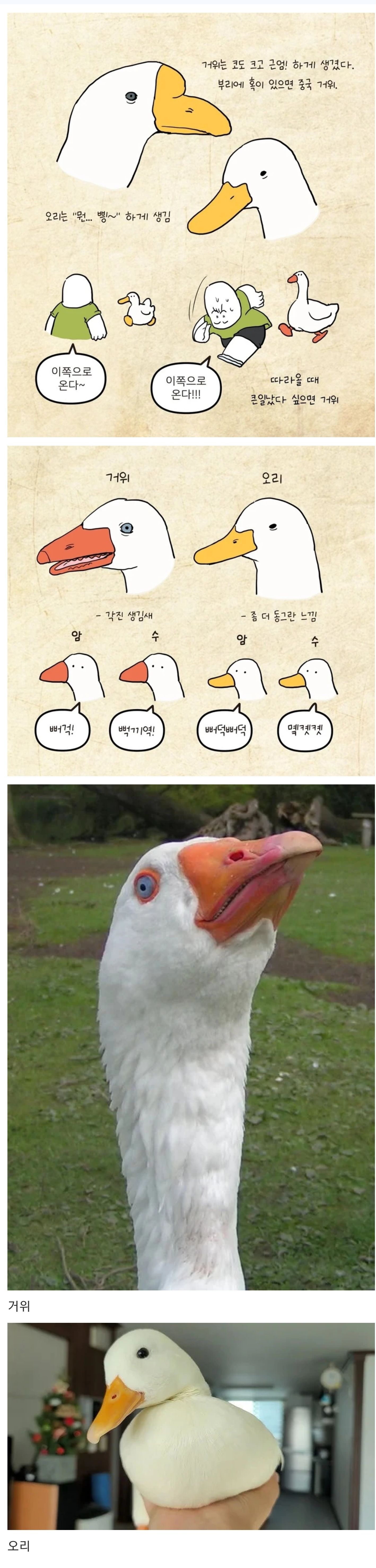 8bb8d0f7d815b3d9d0fc1abeaa44b6fb_882591.jpg
