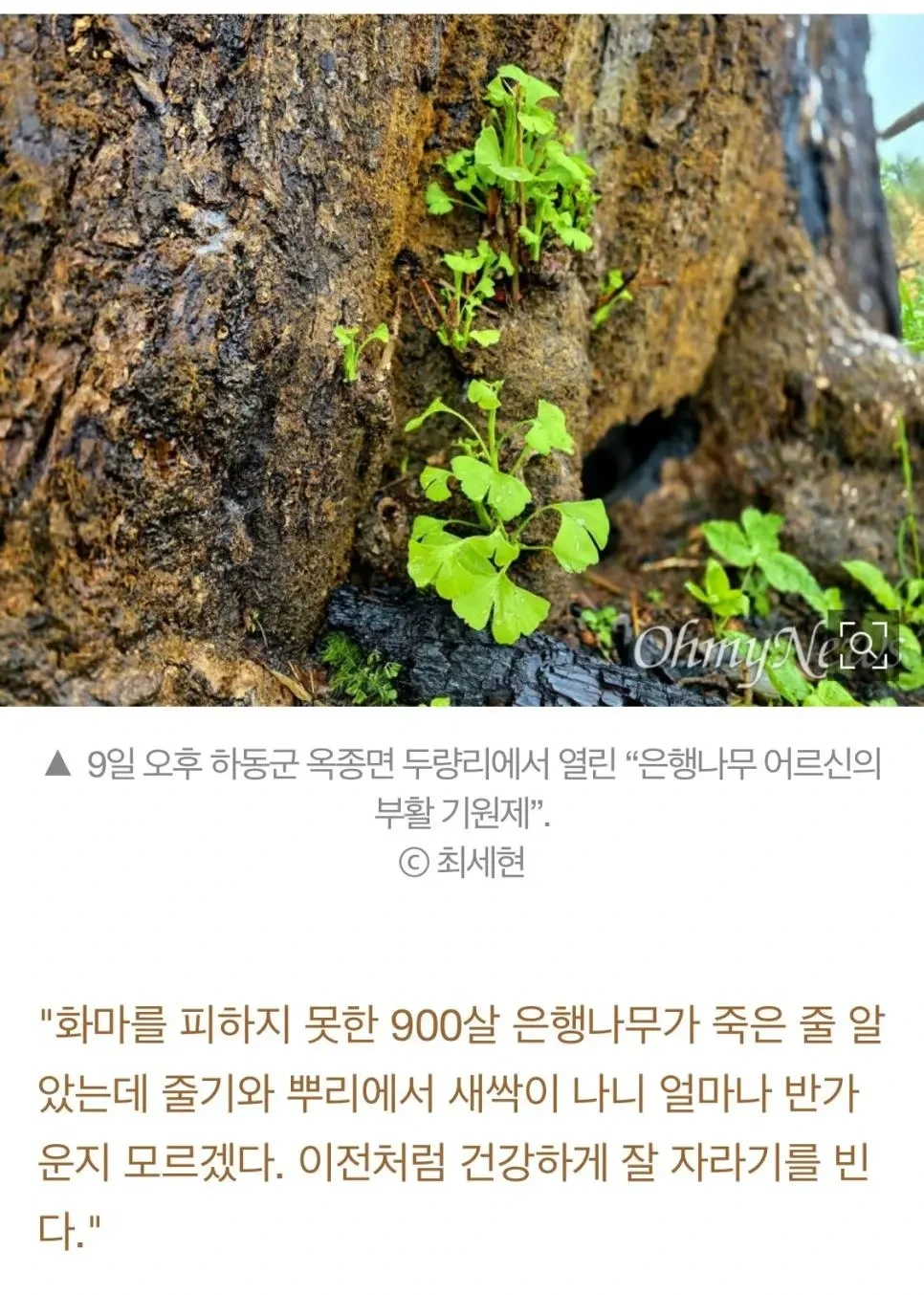 e164bfd181234c51bf1fb11acd5f6c8b_215168.webp