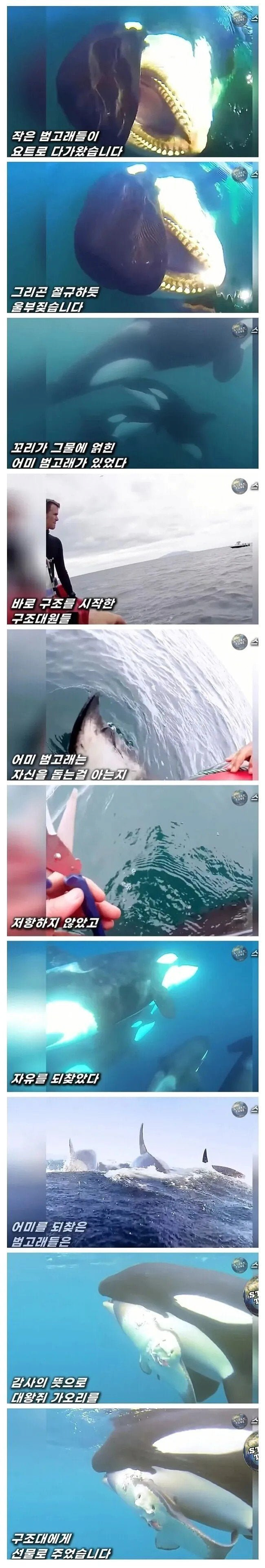 a291ef097c5f1d91e9aedf0d859eedf2_835866.png