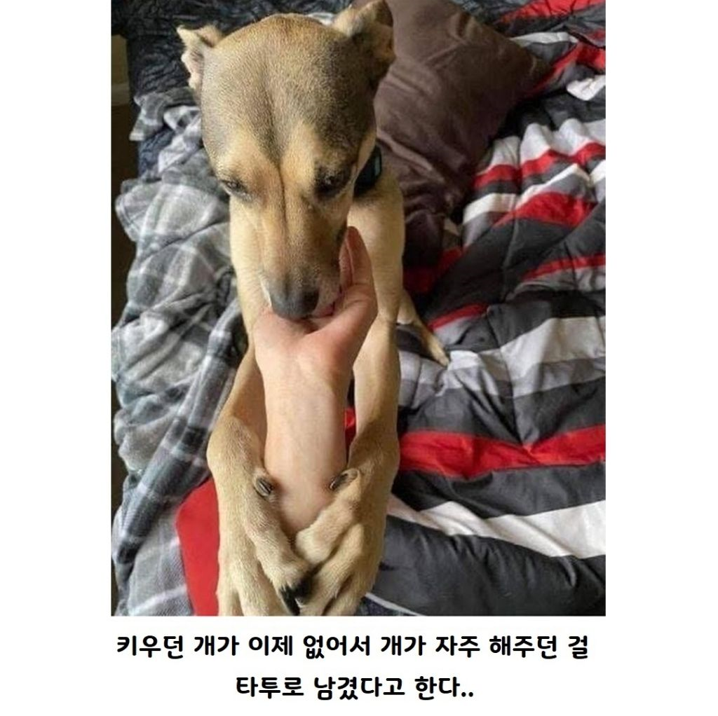 b941d7babdf17da23a9683202feb2e9e_319019.png