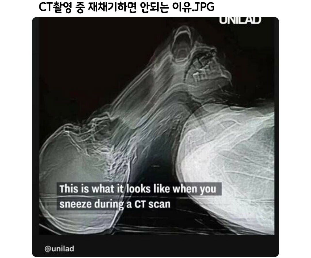 00229ff7cf3e7c2fba98f94c1d237c8c_363123.jpg