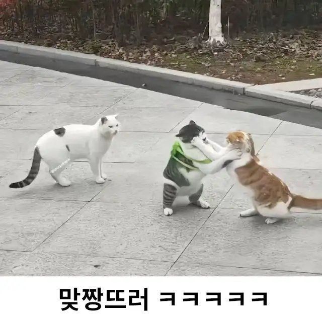 134f09f951ff325fb420e0cfbd329b5f_662911.jpeg