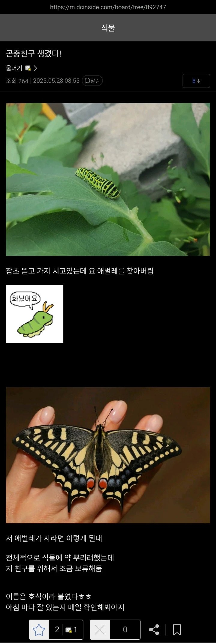 1e5caa7b8a69b2facf55cdedce7eb63a_191040.png