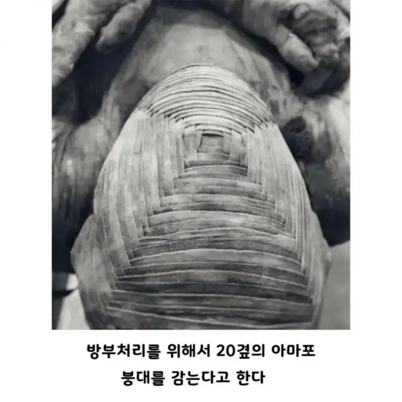 6d456298a2e72996927503b492cf3bb7_636710.webp