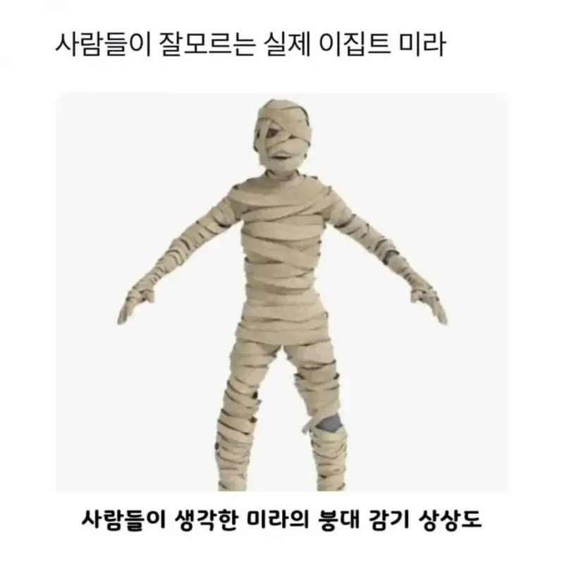 fa16217c9e247f69a3e8fc4f97a6e32b_698809.webp