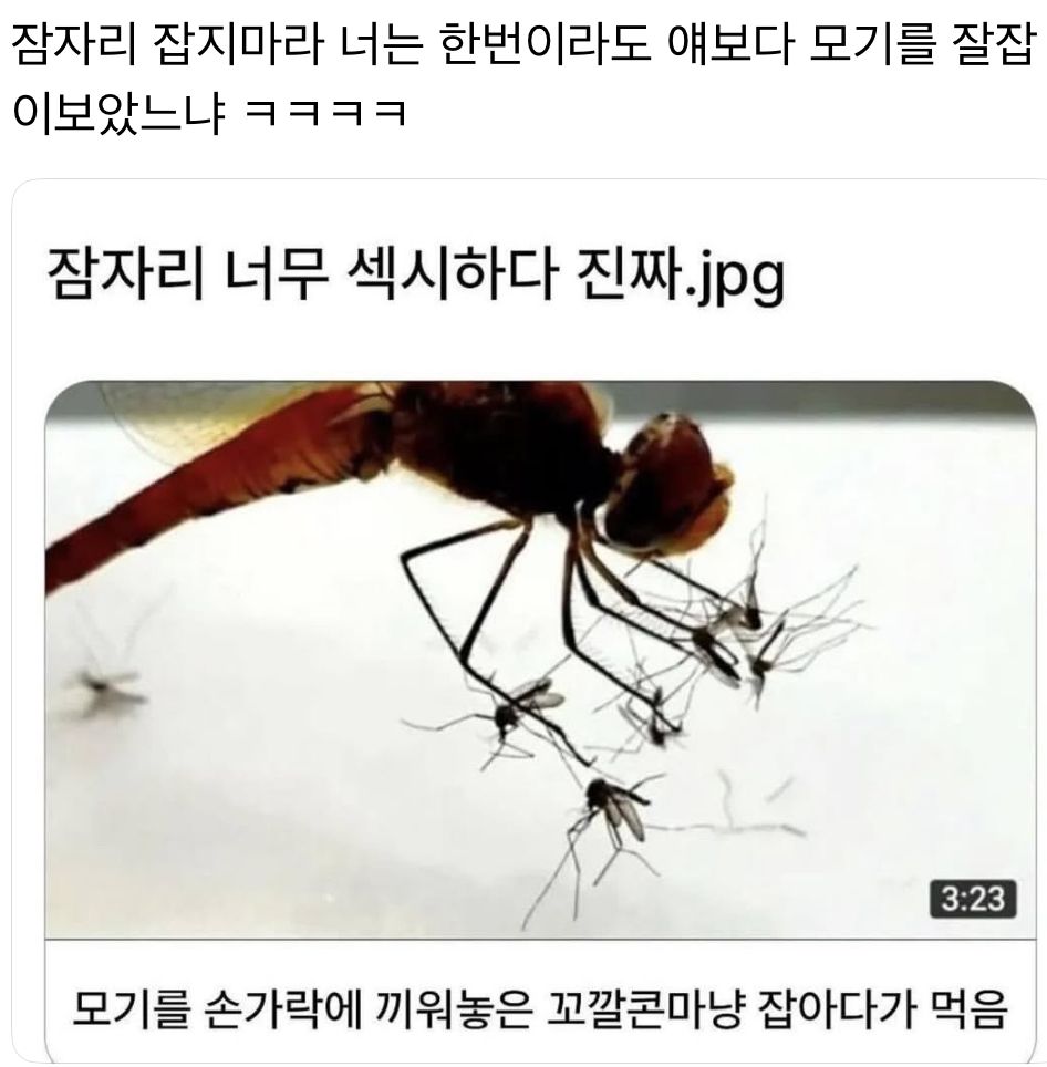 a74920ec491cefd786d6bbce17a98580_826495.jpeg