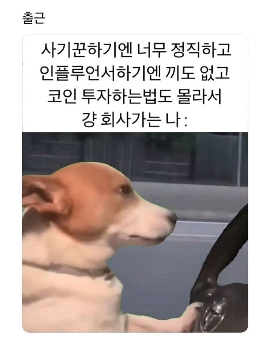 9ff7c1e1a74140811beac7a40a6bc6a3_353977.jpg