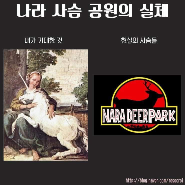 23a669ad0e60b71bfa23d6ae50914214_799060.jpg
