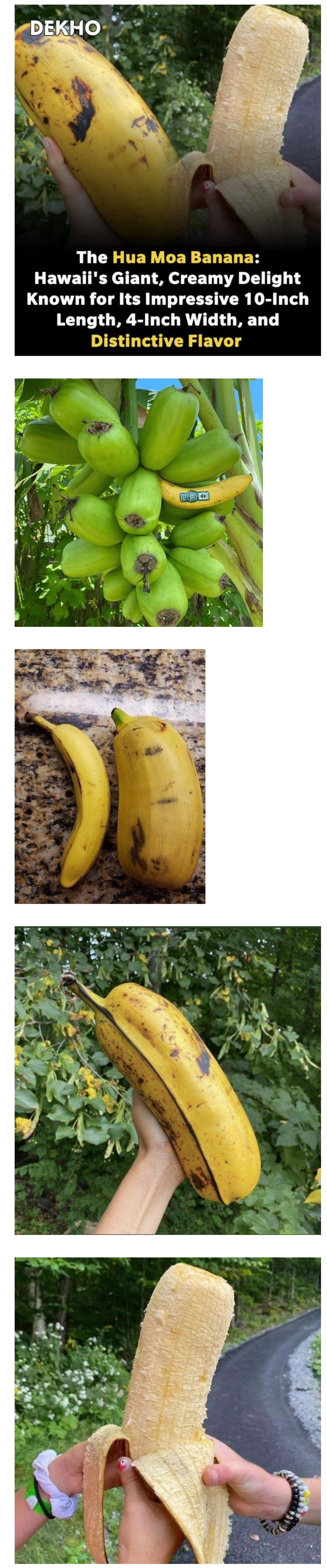686bf36f88eeedaa3b7bae0c84c6397c_646540.JPG