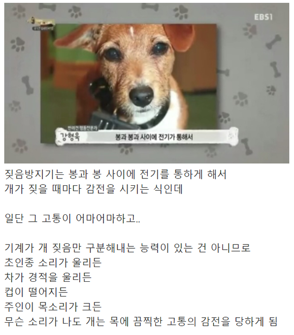 f9378a6331752caae366427ac35a1ad2_807267.png