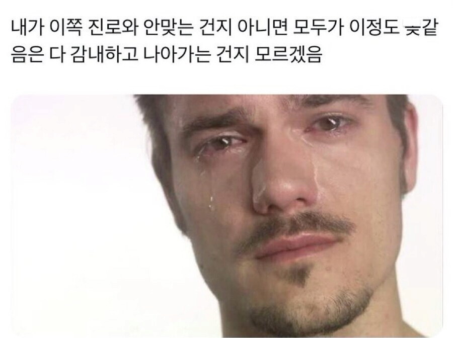 ddac44215c648e23d90d9d5de9854e79_479158.png