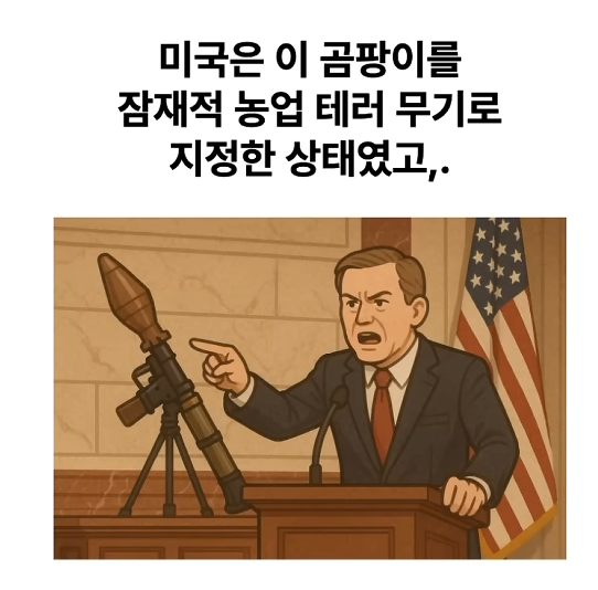 83d8482a334b3b7bfc3119b58a64fdd4_991000.png