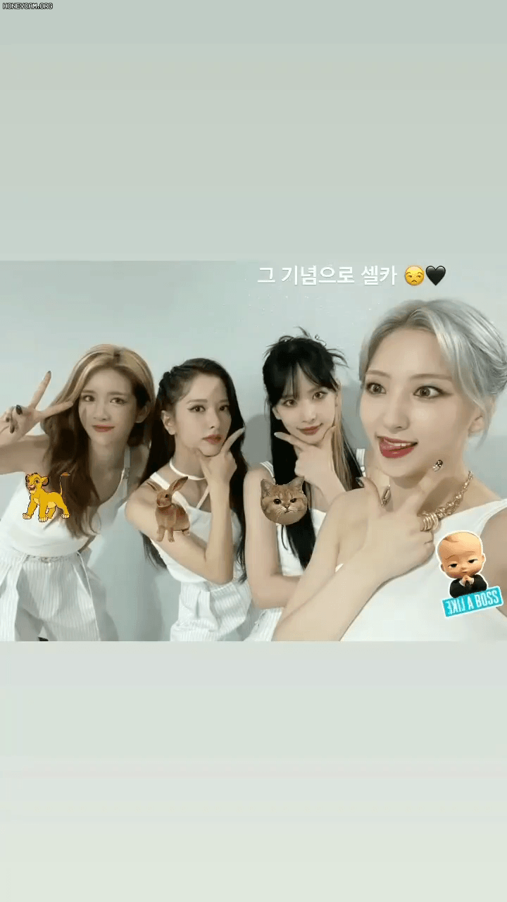 1dab22b278f377985ba8c14fbfa1c5b4_155875.gif