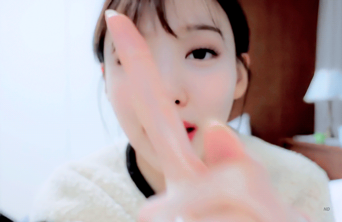 be565545a0027cc4994d3a3824fec2d3_384179.gif