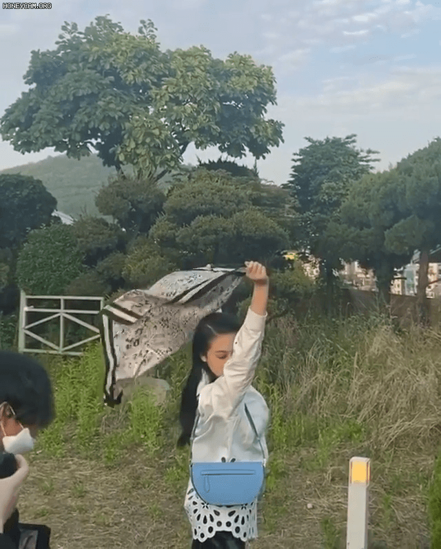 ce63accb3c1fc7d5854355cc3a386488_908018.gif
