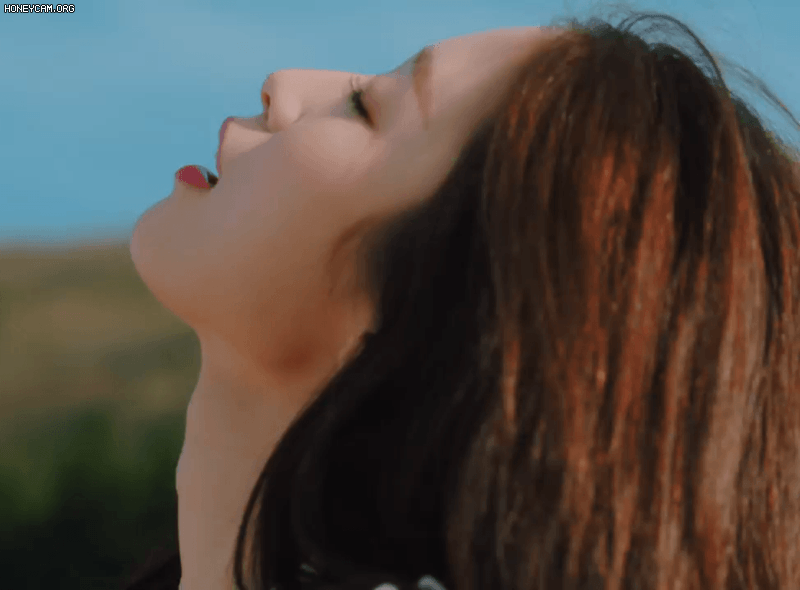5d27fcd50980cbc562479415701172ad_941108.gif
