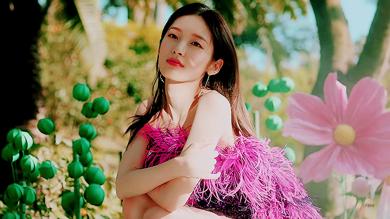 6177b1fb49db0ffd63e0da7dedd43454_253730.gif