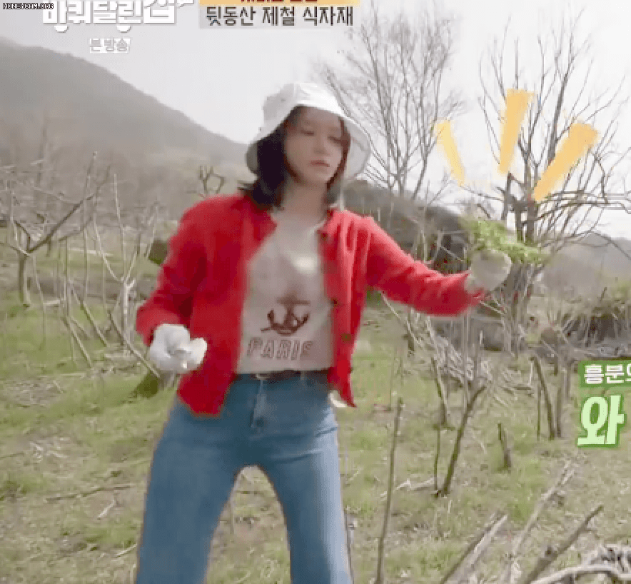 6a25cfdea51c3ed0e05a1d12b96563e8_834753.gif