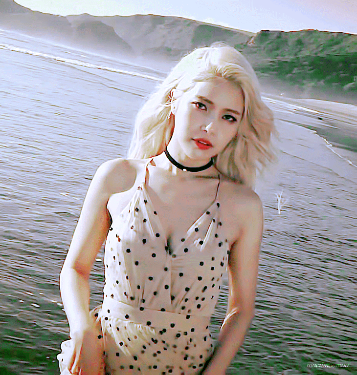 34241e0cf311f505cf4bd8369af86e97_304949.gif