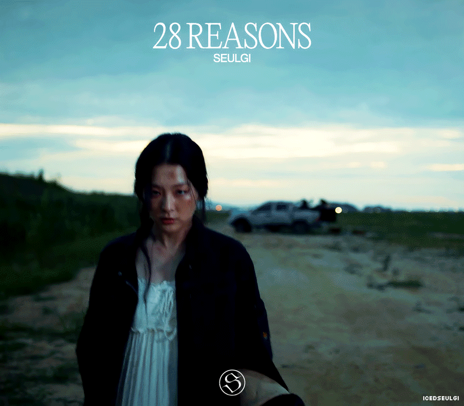 슬기 28 Reasons