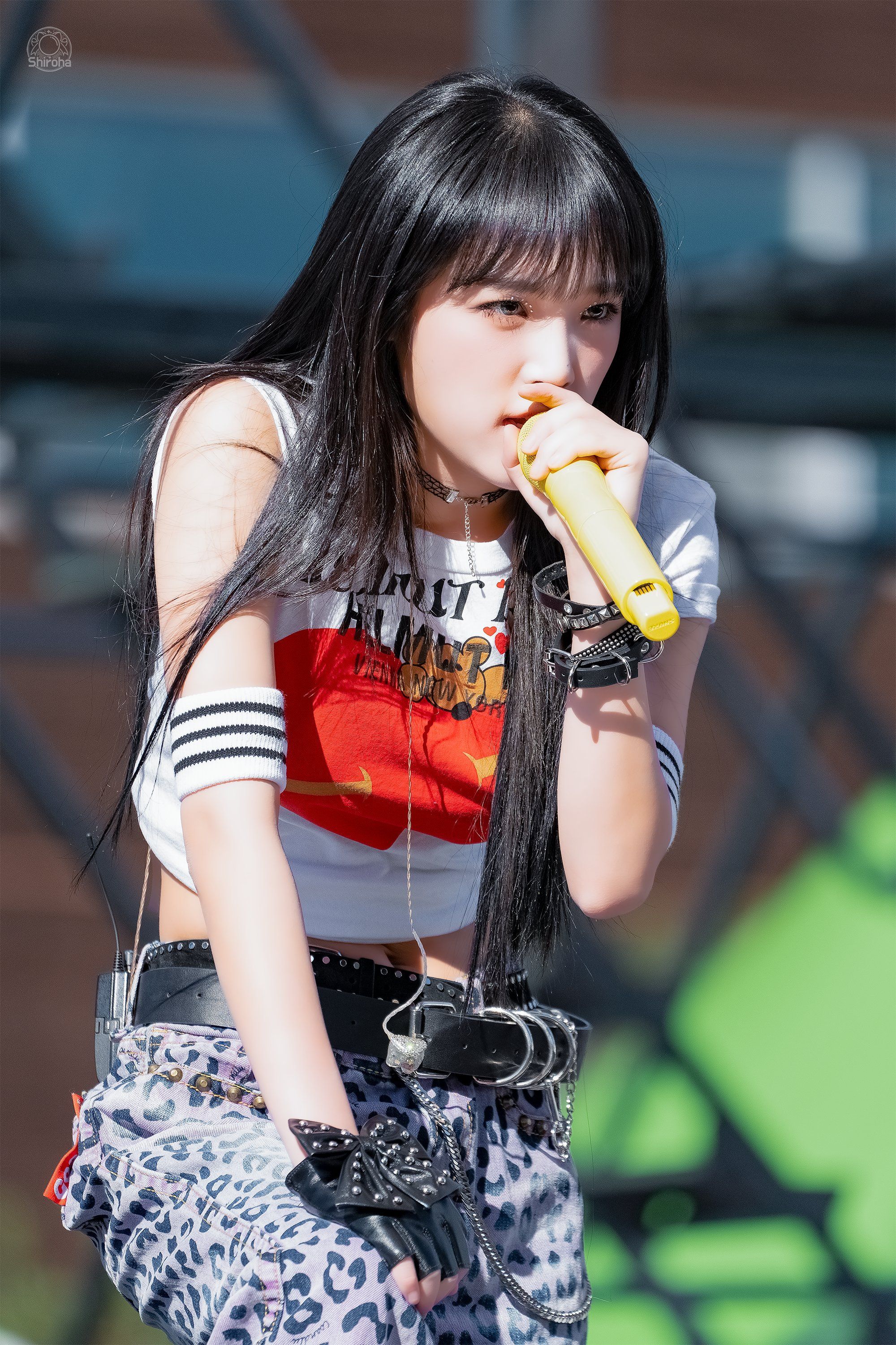 d3d132292007fb86d9560d51edf95c8a_233210.jpg