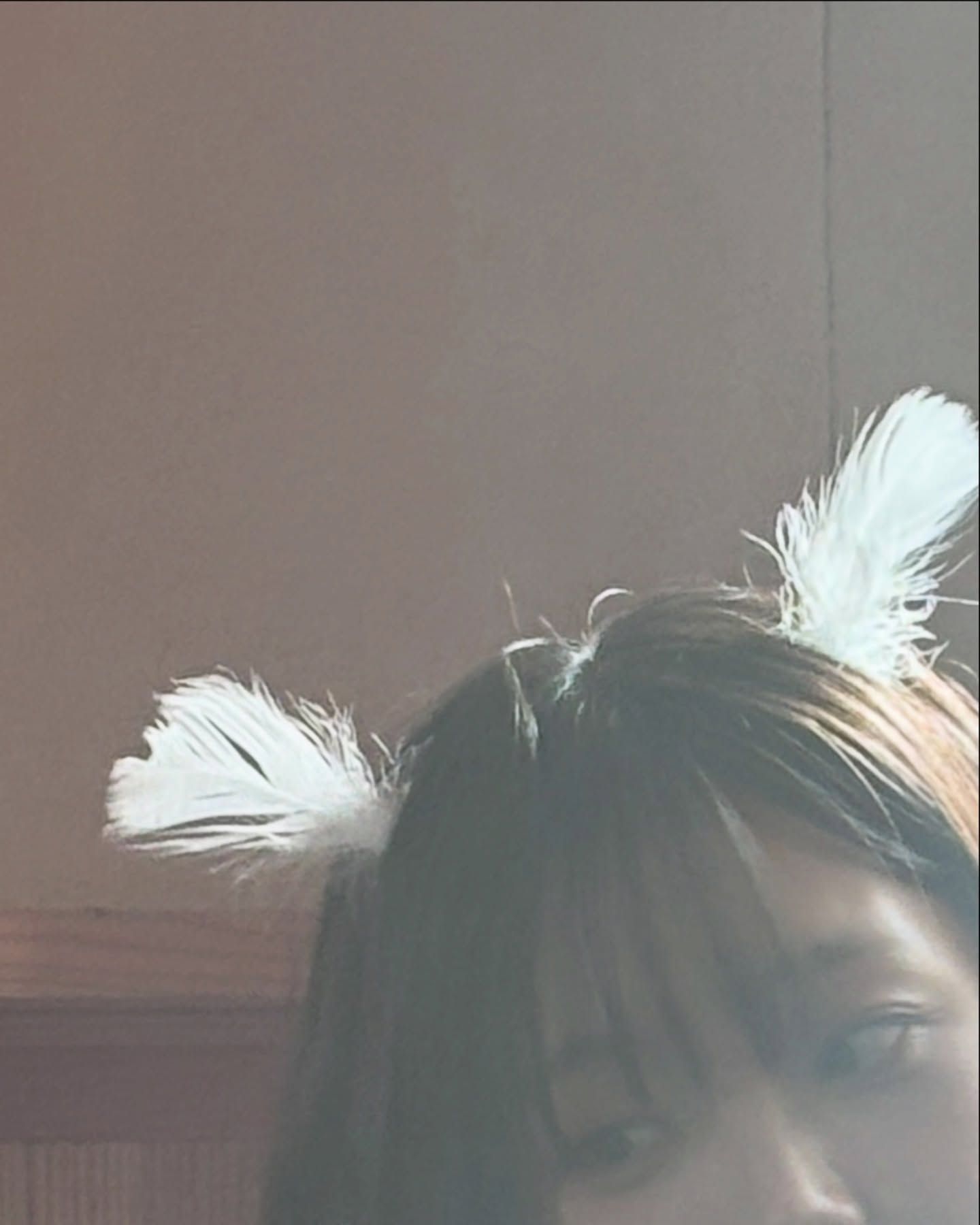 36f359905864e13ffefeb77130324ac6_318927.jpg