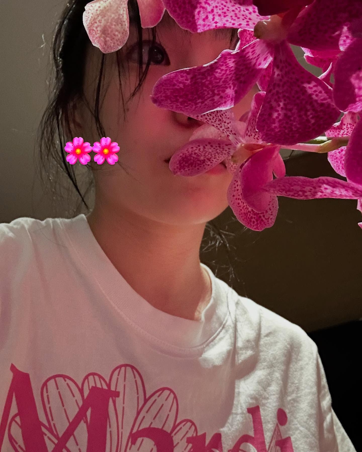 3a88a48711449bf4105e268bebf14477_794461.jpg
