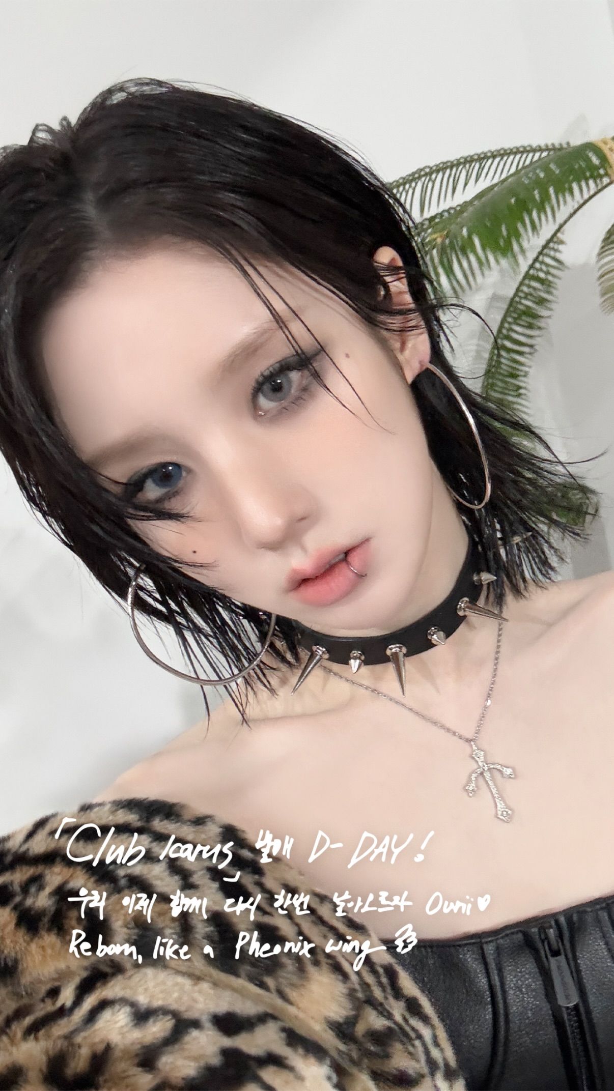 ef63f78375ed78dc5c3dcc84a102bee5_808127.jpg