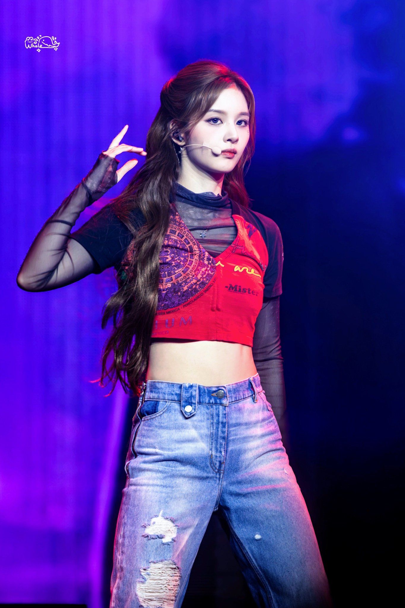 a543ab3fc8bd57dd3f6bcaedd5ba701d_499602.jpg