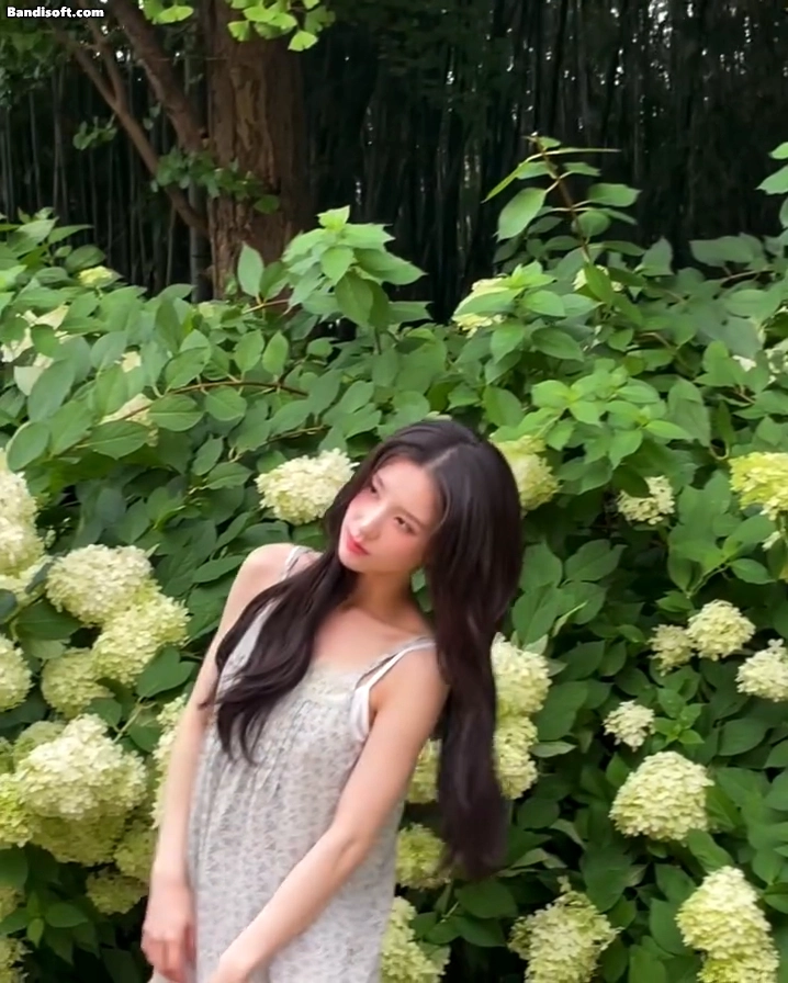b912314eb8802d723824280632246e61_132532.webp