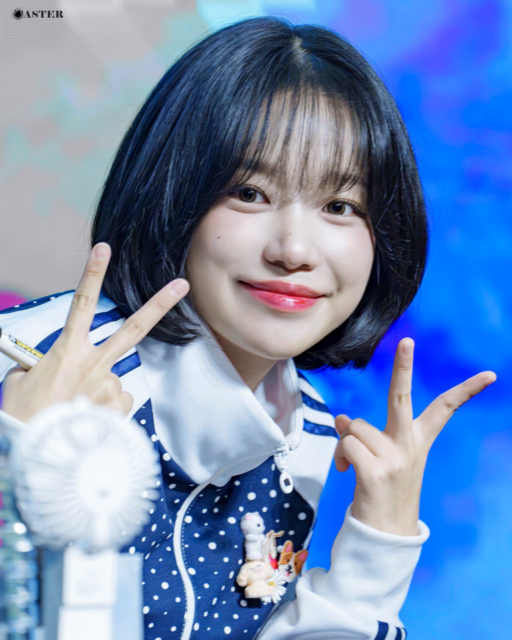 a2309a9914d5a18ff713c91e3309c157_226068.jpg