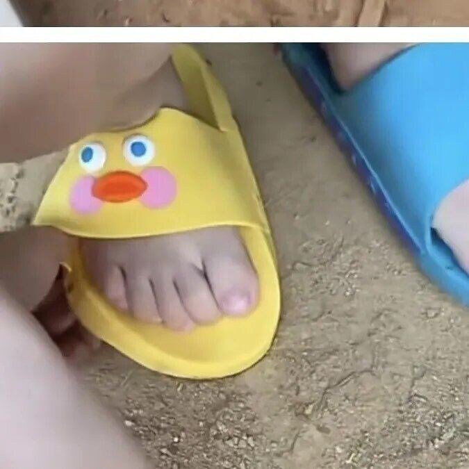 02c3d15c5a773fec4bedfbe23899e857_978150.jpeg